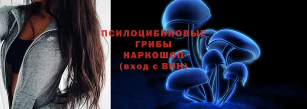 гидра Абдулино