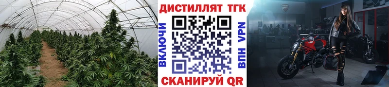 купить наркотики сайты  ссылка на мегу маркетплейс  ТГК концентрат  Стрежевой 